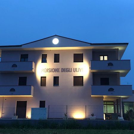 Pensione Degli Ulivi Порто-Сант'Ельпідіо Екстер'єр фото
